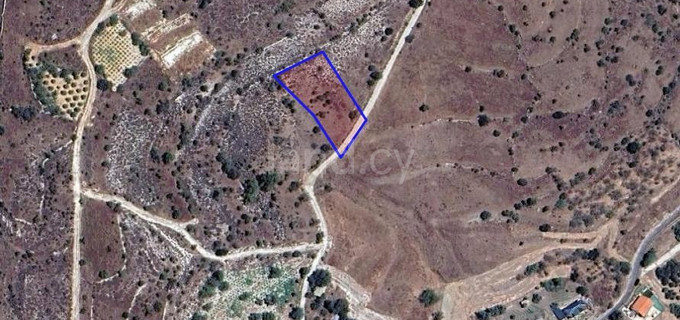 Agricultural field for sale in Paphos