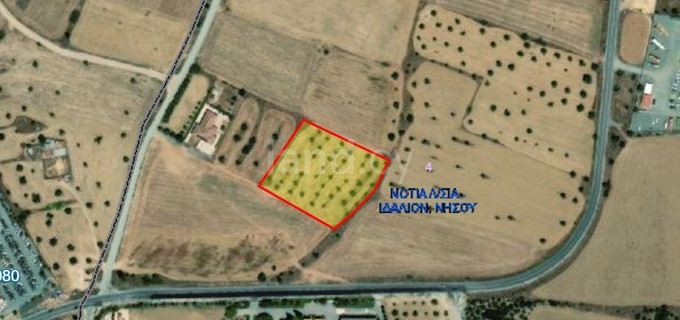 Agricultural field for sale in Nicosia