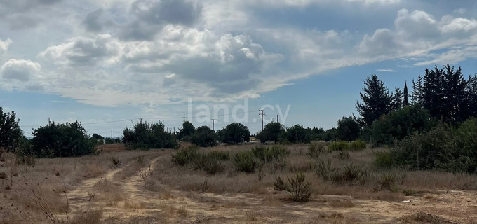 Βιομηχανικό αγροτεμάχιο προς πώληση - Λεμεσός