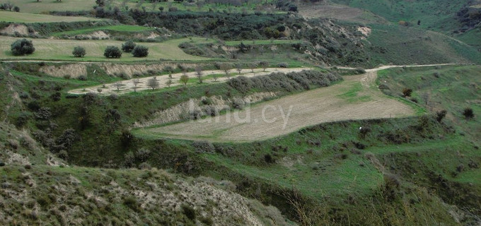 Terrain agricole à vendre à Paphos