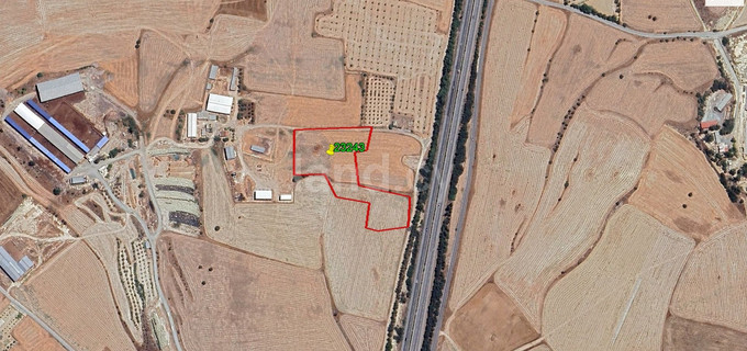 Agricultural field for sale in Larnaca