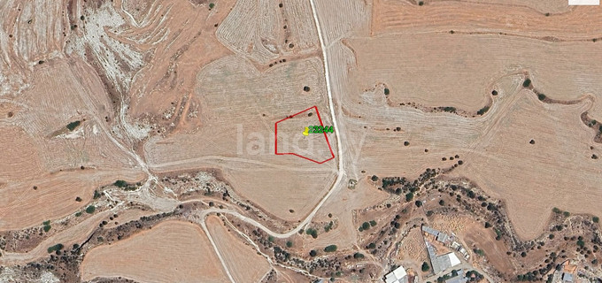 Agricultural field for sale in Larnaca