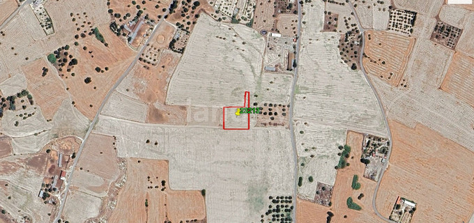 Agricultural field for sale in Larnaca