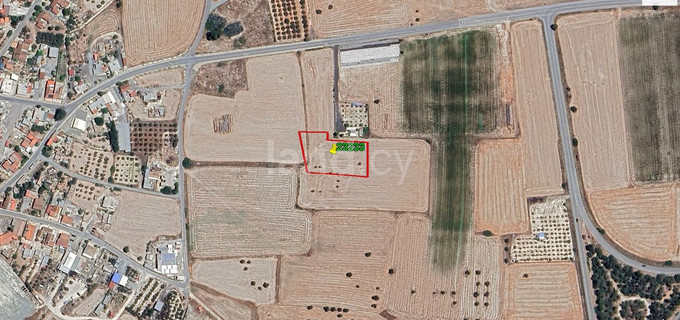 Agricultural field for sale in Larnaca