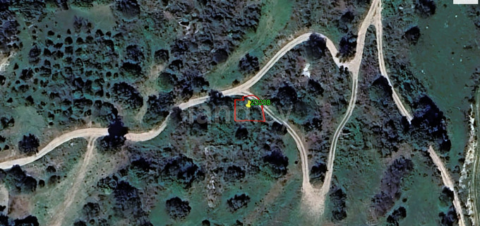 Agricultural field for sale in Paphos