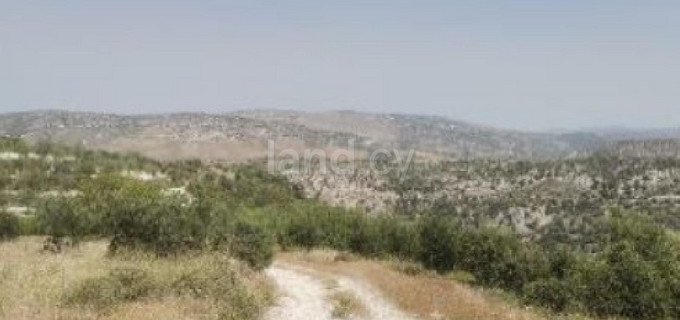 Terrain agricole à vendre à Paphos