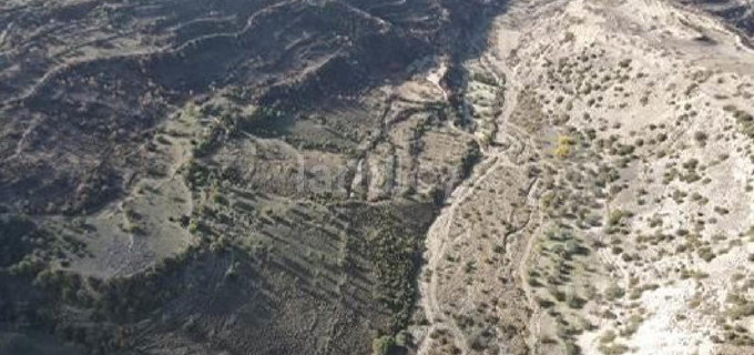 Pole rolne na sprzedaż w Paphos