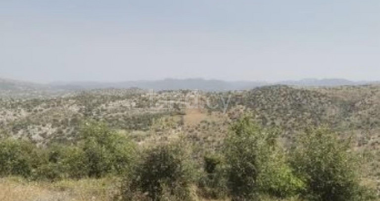 Αγροτικό αγροτεμάχιο προς πώληση - Πάφος