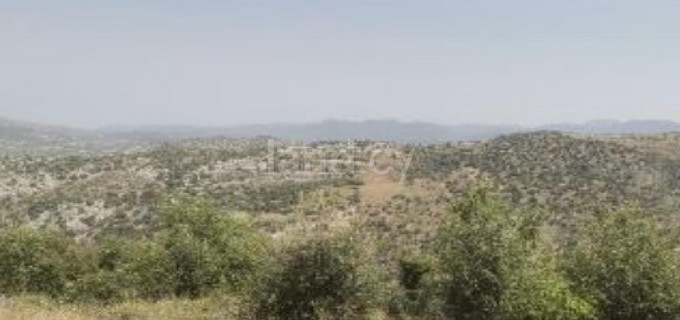 Terrain agricole à vendre à Paphos