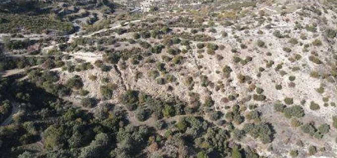 Pole rolne na sprzedaż w Paphos