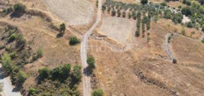 Terrain agricole à vendre à Paphos