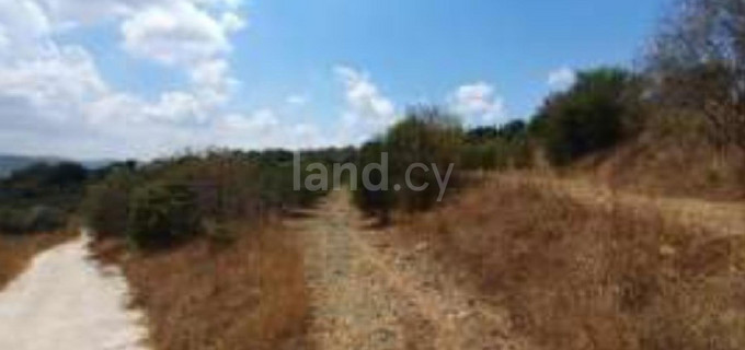 Terrain agricole à vendre à Paphos