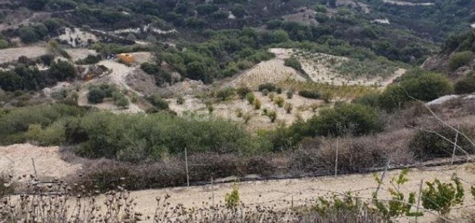 Terrain agricole à vendre à Paphos