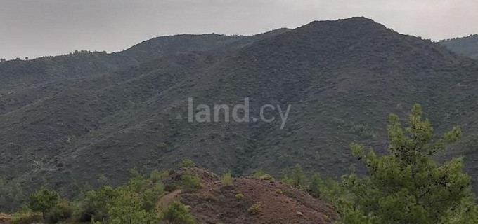 Agricultural field for sale in Limassol