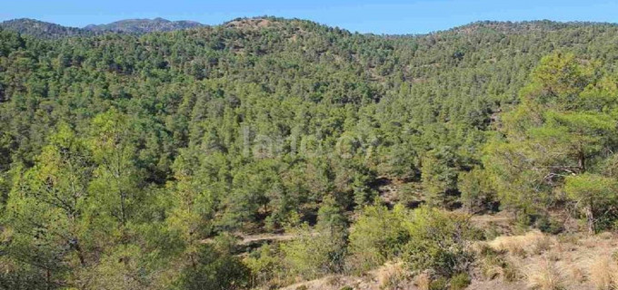 Agricultural field for sale in Nicosia