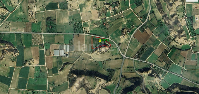 Campo agrícola a la venta en Larnaca