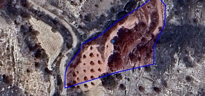 Landwirtschaftliches Baugebiet in Paphos zu verkaufen