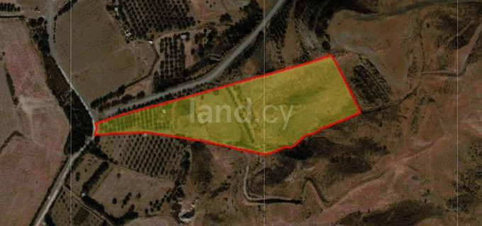 Wohngebiet in Paphos zu verkaufen