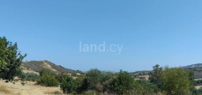 Agricultural field for sale in Paphos