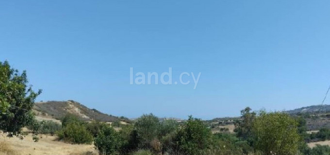 Agricultural field for sale in Paphos