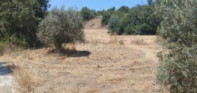 Agricultural field for sale in Paphos