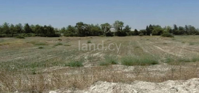 Agricultural field for sale in Larnaca