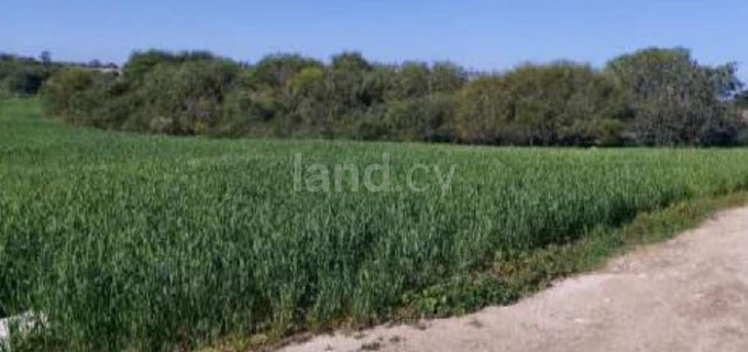 Campo agrícola a la venta en Paralimni