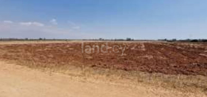 Agricultural field for sale in Larnaca