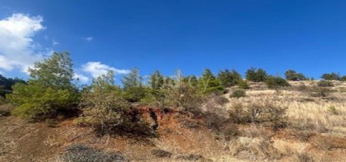 Agricultural field for sale in Nicosia
