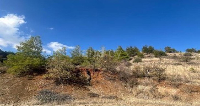 Agricultural field for sale in Nicosia