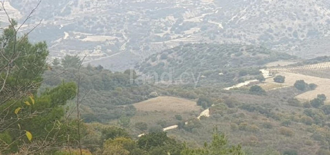 Landwirtschaftliches Baugebiet in Limassol zu verkaufen