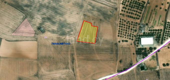 Agricultural field for sale in Nicosia