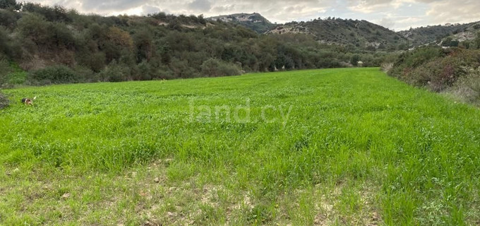 Residential field for sale in Limassol