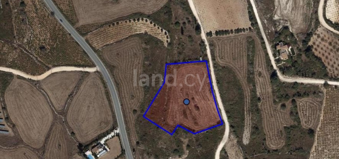 Agricultural field for sale in Paphos