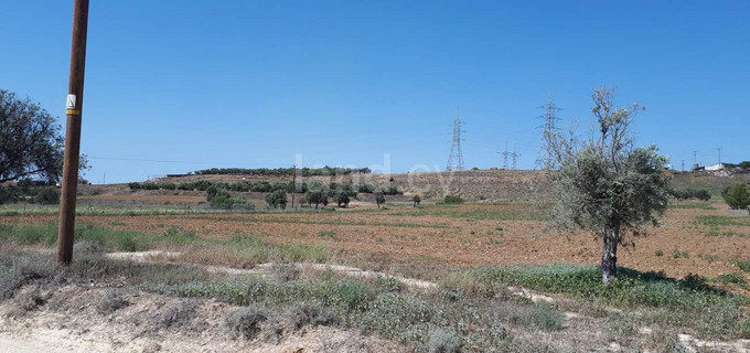 Agricultural field for sale in Nicosia