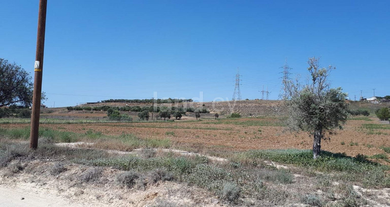 Jordbruksfält till salu i Nicosia