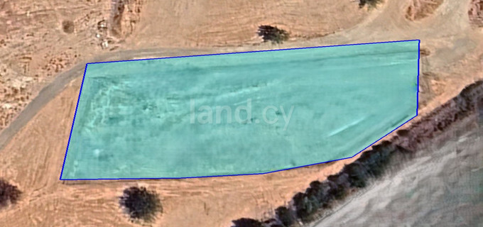 Commercial field for sale in Limassol