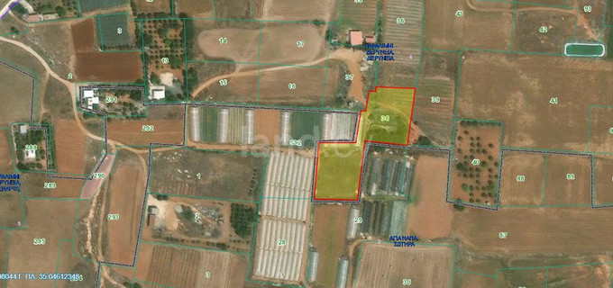 Agricultural field for sale in Deryneia