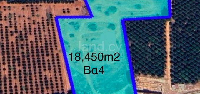 Industrial field for sale in Limassol