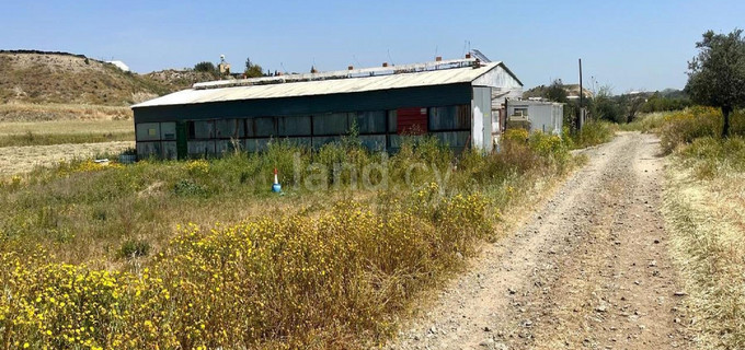 Agricultural field for sale in Nicosia