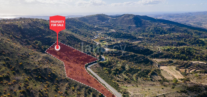 Agricultural field for sale in Paphos