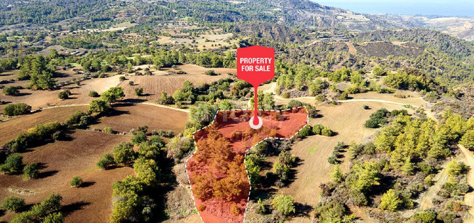 Agricultural field for sale in Paphos