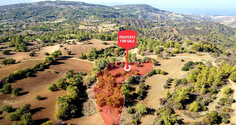 Terrain agricole à vendre à Paphos
