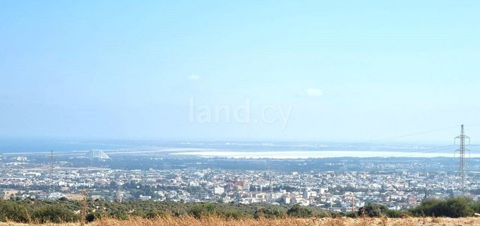 Agricultural plot for sale in Limassol