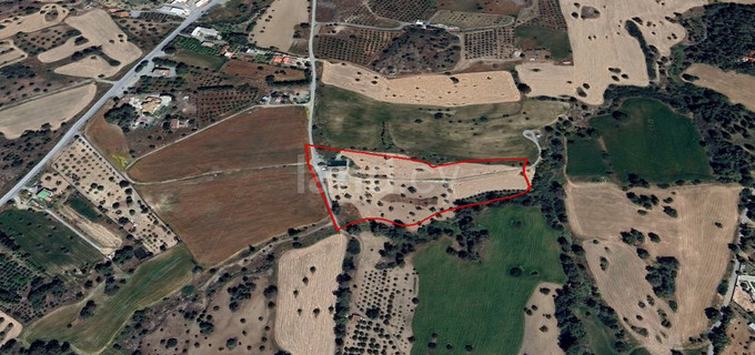 Agricultural field for sale in Larnaca