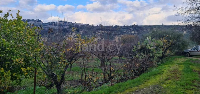 Αγροτεμάχιο προς πώληση - Πάφος