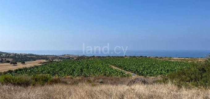 Parcelle résidentielle à vendre à Paphos