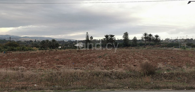 Parcelle agricole à vendre à Paphos