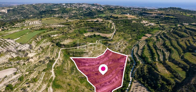 Field for sale in Paphos