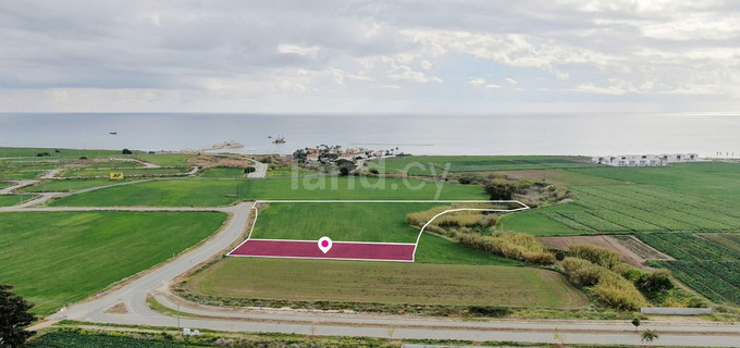 Field for sale in Larnaca